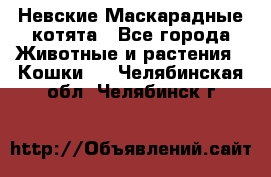 Невские Маскарадные котята - Все города Животные и растения » Кошки   . Челябинская обл.,Челябинск г.